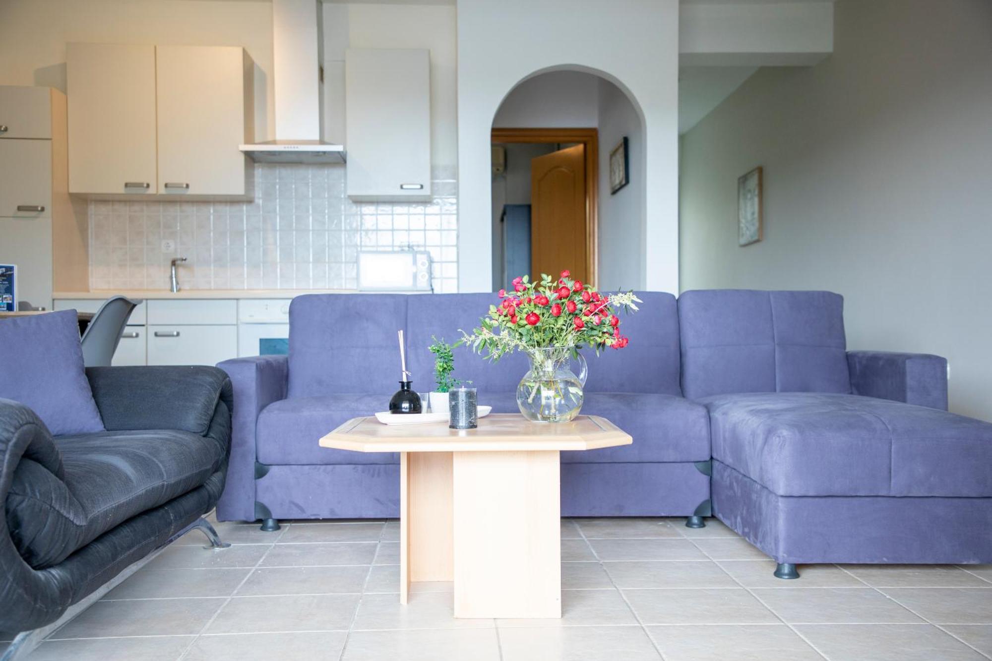 Anesis Apartments Agia Marina  外观 照片